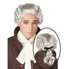 Szara peruka w stylu barokowym, męska
