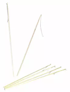 Latarnik
