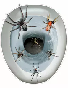 Dekoracja samoprzylepna WC Pająki 30 x 43 cm