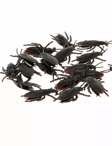 12 czarnych karaluchów 6 cm Halloween