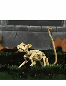 Dekoracja szkieletu szczura na Halloween