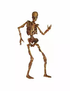Gnijąca Dekoracja Szkieletu Przegubowego 180cm