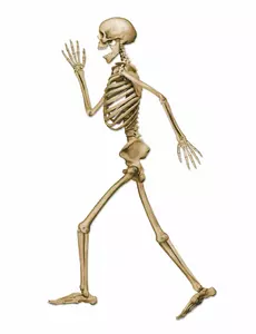94cm beżowa dekoracja szkieletu na Halloween