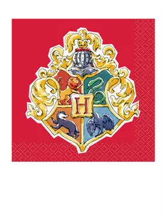 16 małych serwetek Harry Potter™ 25 x 25 cm