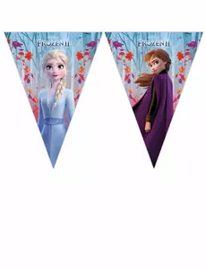 Trznadel Frozen 2™ 230 x 25 cm