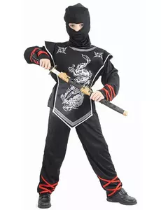 Kostium Ninja Srebrnego Smoka dla chłopca, Rozmiar: 4-6 lat (110-120 cm)