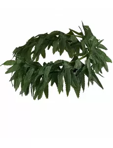 Opaska z tropikalnymi liśćmi