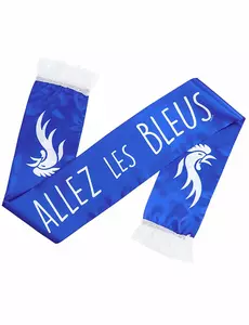 Szalik kibica: Go Blues!