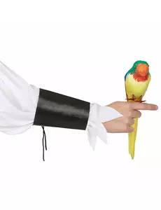 Papuga z wysp hawajskich