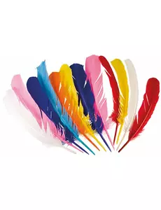 12 różnokolorowych piór indyjskich 30 cm
