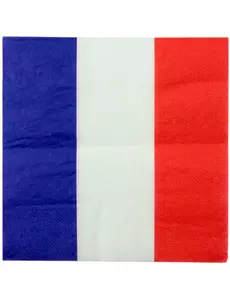 20 papierowych serwetek Francja 33 x 33 cm