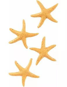 4 rozgwiazdy żywiczne, 4,5 cm