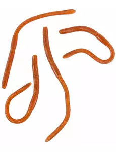 Gumowate robaki 4 x 17 cm