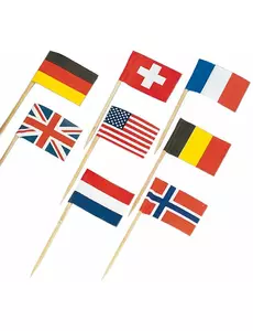 30 mini flag szczupaków krajów świata