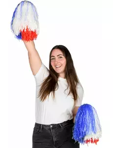 Wsparcie Pompon Francja