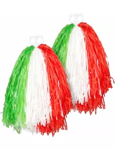 Pompon, kibic Włoch