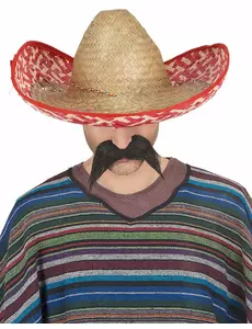 Dorosłe meksykańskie sombrero czerwone i słomkowe