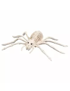 Szkieletowy pająk 35 cm