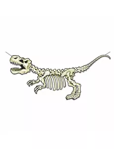 Baner Tekturowy Szkielet Dinozaura 71 x 152 cm