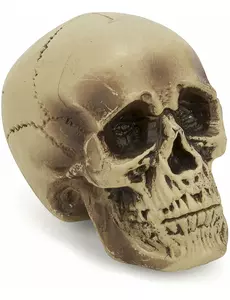 Plastikowa ozdoba czaszki 18 cm