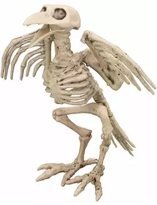 Kruk Szkielet Dekoracja 19,5cm Halloween
