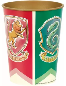 Kubek plastikowy wielokrotnego użytku Harry Potter™ 50 cl