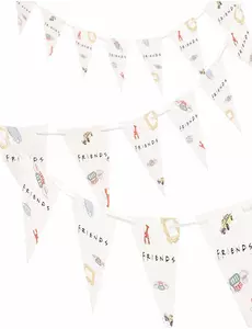 Girlanda Friends 2m