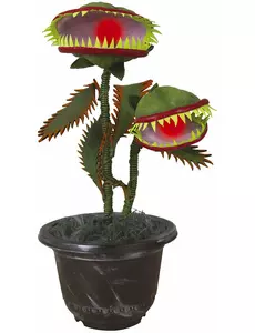Ożywiona roślina mięsożerna 42 cm