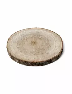 Naturalny kloc drewna, 13-17 cm