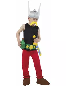 Kostium deluxe Asterix™ dla dzieci - Asterix i Obelix™, Rozmiar: 5-6 lat (116 cm)
