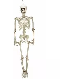 Halloweenowy szkielet przegubowy 90 cm