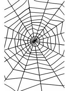 1,5m Pajęczyna Halloween