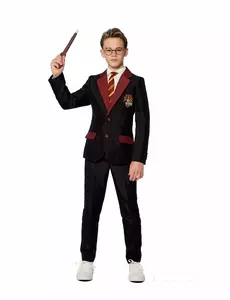 Kostium Suitmeister™ Pana Gryffindora™ dla dzieci, Rozmiar: 12-14 lat (146-152cm)