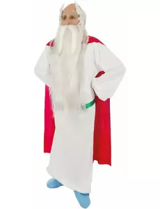 Kostium Druid Getafix™ dla dorosłych - Asterix i Obelix, Rozmiar: Medium