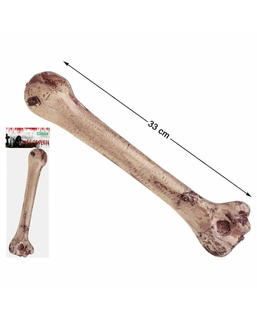 Kość Kość Czaszka Brązowy Jaskiniowiec