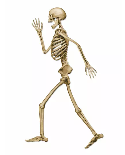 94cm beżowa dekoracja szkieletu na Halloween