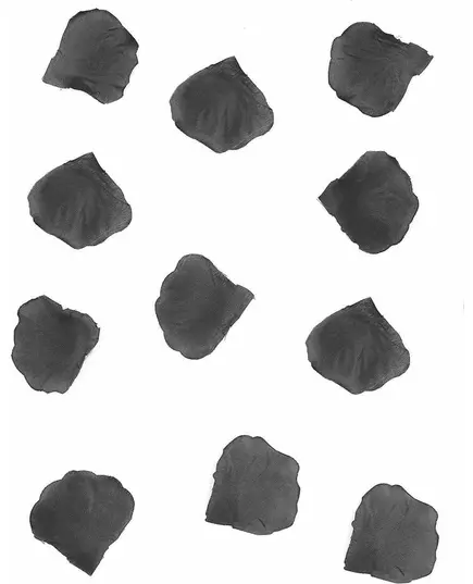 100 płatków róż z czarnego materiału, długość 5 cm