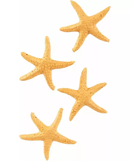 4 rozgwiazdy żywiczne, 4,5 cm