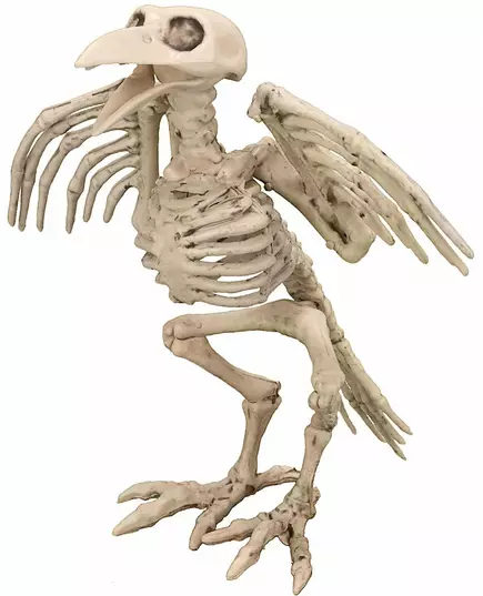 Kruk Szkielet Dekoracja 19,5cm Halloween