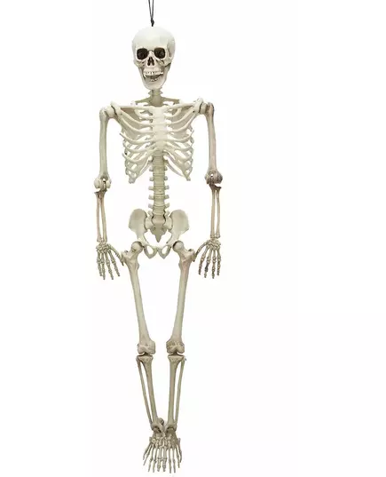Halloweenowy szkielet przegubowy 90 cm