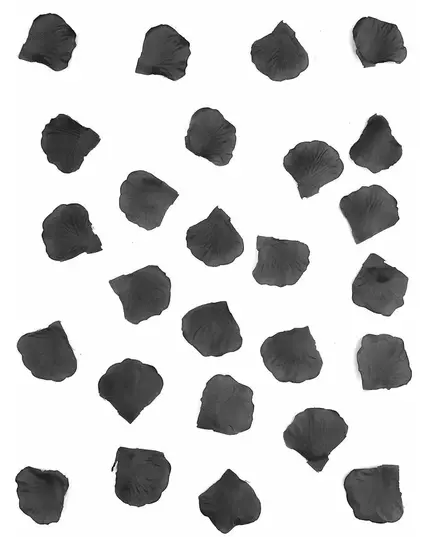 100 płatków róż z czarnego materiału, długość 5 cm, image 2