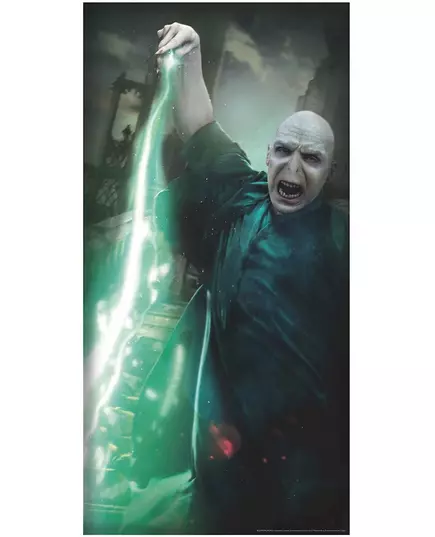Dekoracja drzwi Voldemort™ Harry Potter™, image 2