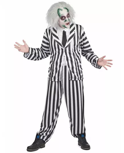 Kostium Beetlejuice™ dla mężczyzn, Rozmiar: Medium/Large, image 2