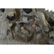 ozdoby świąteczne DKD Home Decor Beżowy Brązowy (19.5 x 6.5 x 18 cm)