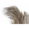 ozdoby świąteczne DKD Home Decor Piana Wiewiórka (10 x 21 x 20 cm)
