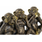Figurka Dekoracyjna DKD Home Decor Małpa Żywica Kolonialny (3 pcs)