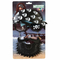 Okulary Pirate