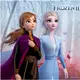 20 papierowych serwetek Frozen 2™ 33 x 33 cm