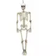 Halloweenowy szkielet przegubowy 90 cm